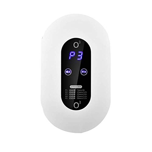 EC Hometec 空気清浄機 オゾン発生器 ～30畳 100mg/h 壁掛け型